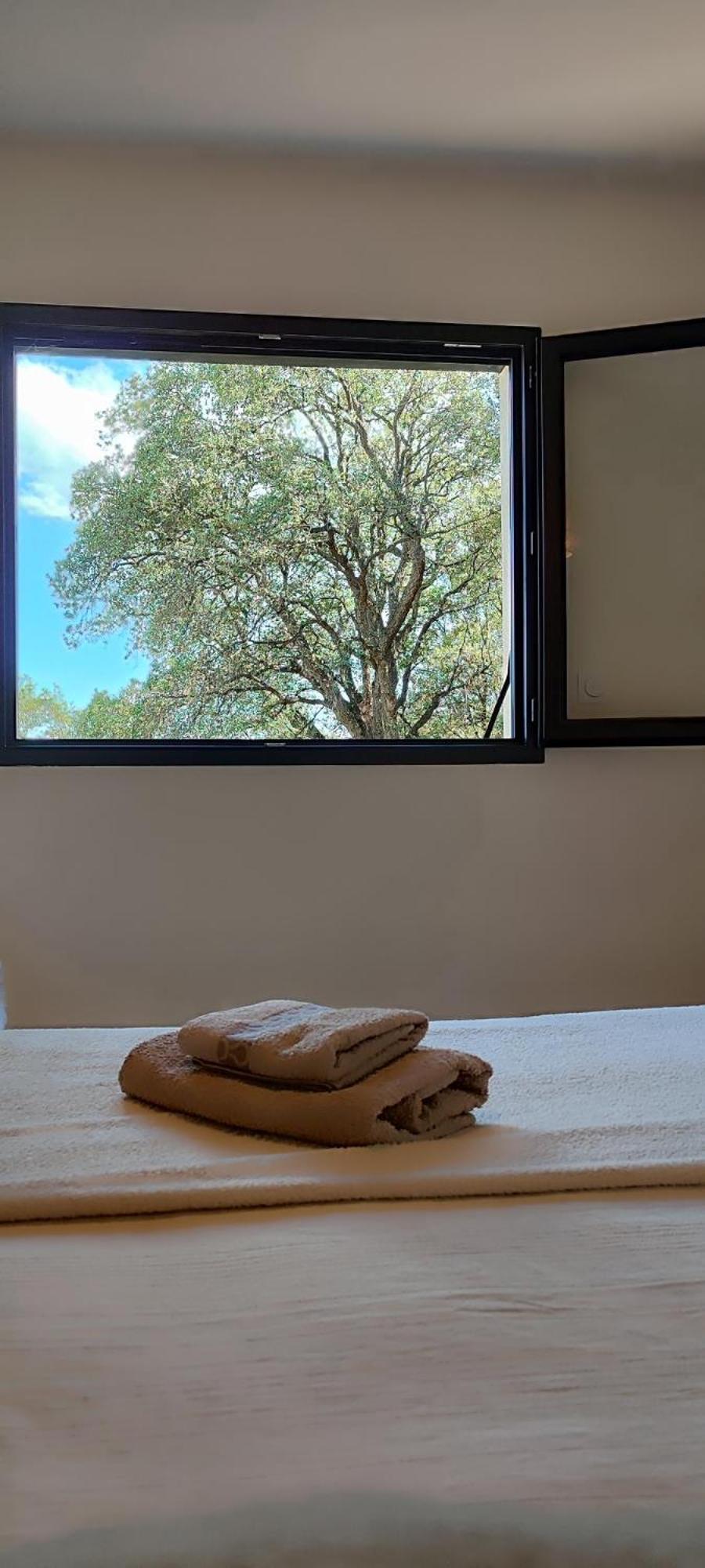 Appartement Casa Di Cortanni à Castellare-di-Casinca Extérieur photo